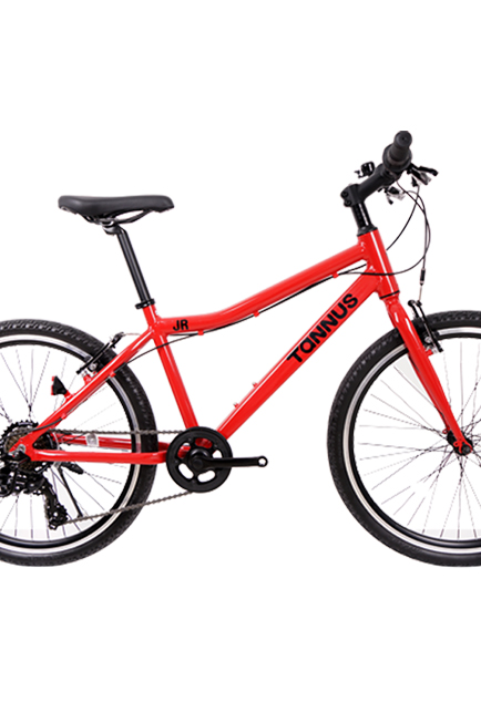 <br><h4>TANNUS JUNIOR 24</h4>