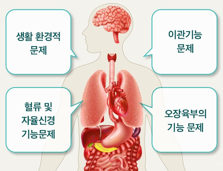 이명 유병률