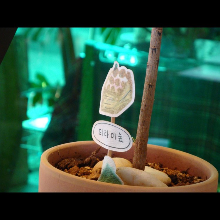 상품 이미지