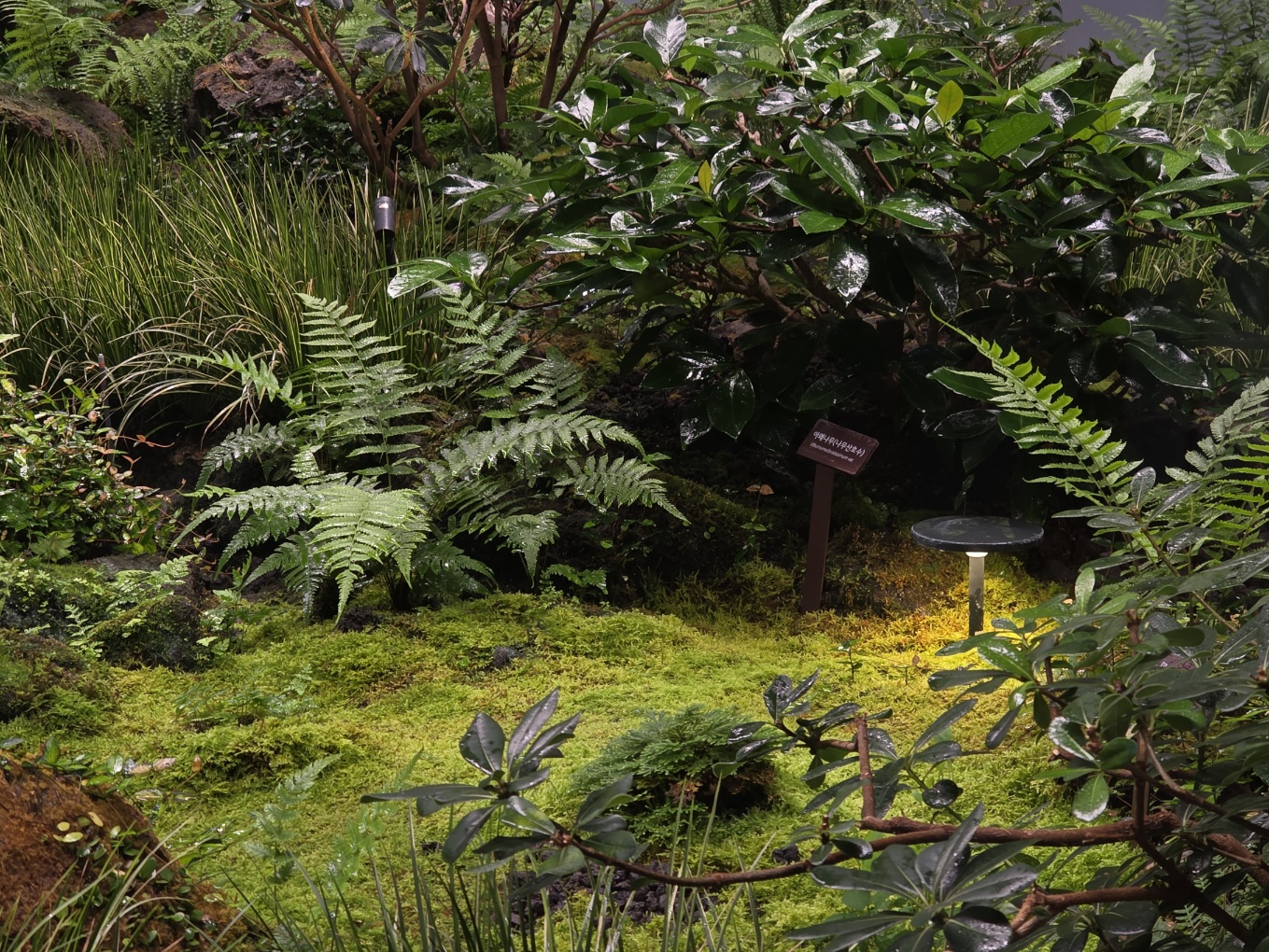 <p style="text-align: center; line-height: 1.15;"><span style="font-size: 20px; color: rgb(255, 255, 255);">[2022]</span></p>  <p style="line-height: 1.15; text-align: center;"><span style="color: #FFF;"><span style="font-size: 60px;">LG 트윈타워 실내정원</span></span></p>  <p style="line-height: 1.15; text-align: center;"><span style="font-size: 30px; color: #FFF;">Gotjawal, Reframed</span></p>