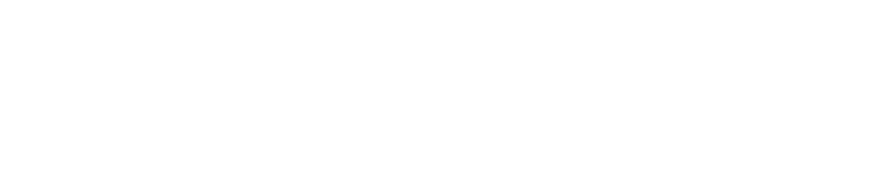 아라유학