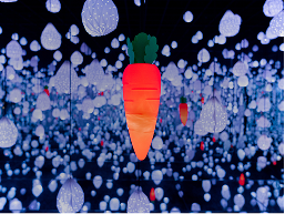 STAR RAINDROPS, 처마 밑으로 떨어지는 빗방울과 바람에 퍼지는 풍경소리. - 아르떼뮤지엄 강릉