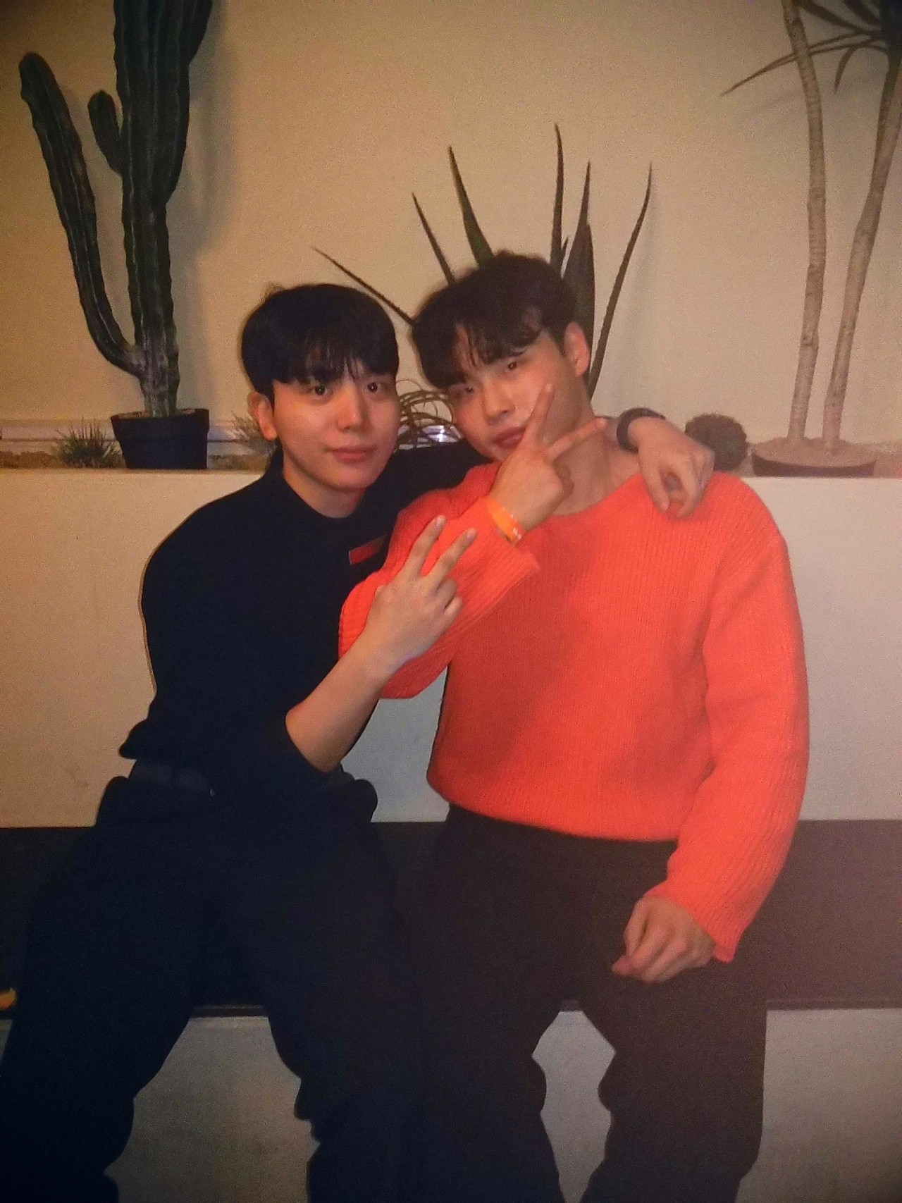 폴라로이드 사진