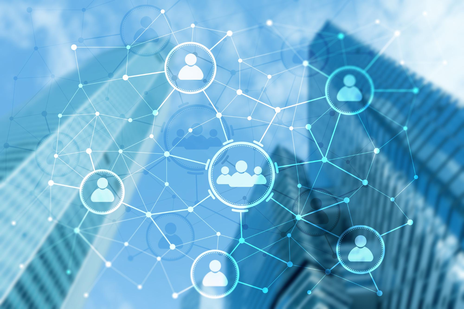 Network