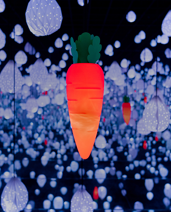 STAR RAINDROPS, 처마 밑으로 떨어지는 빗방울과 바람에 퍼지는 풍경소리. - 아르떼뮤지엄 강릉