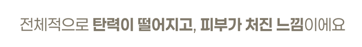  전체적으로 탄력이 떨어지고, 피부가 처진 느낌이에요