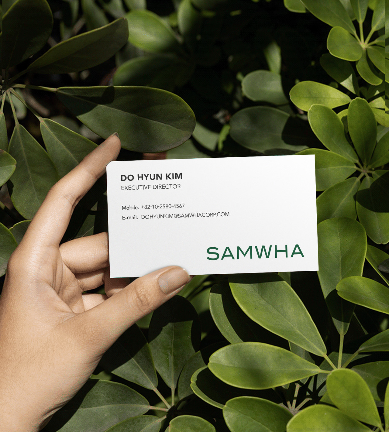 삼화 리브랜딩 명함 디자인