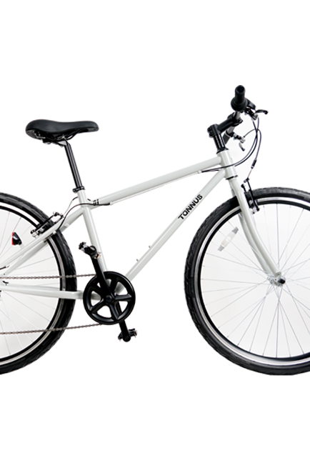 <br><h4>TANNUS 01 HYBRID 27.5</h4>