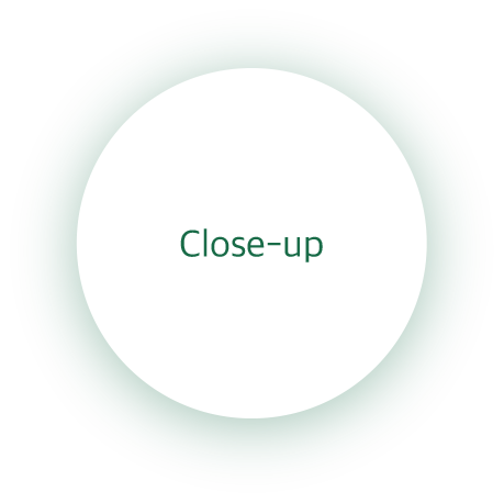 삼화 브랜드 리브랜딩 전략 분석 도표