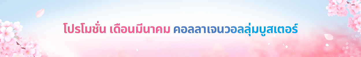 ไม่รวม VAT 