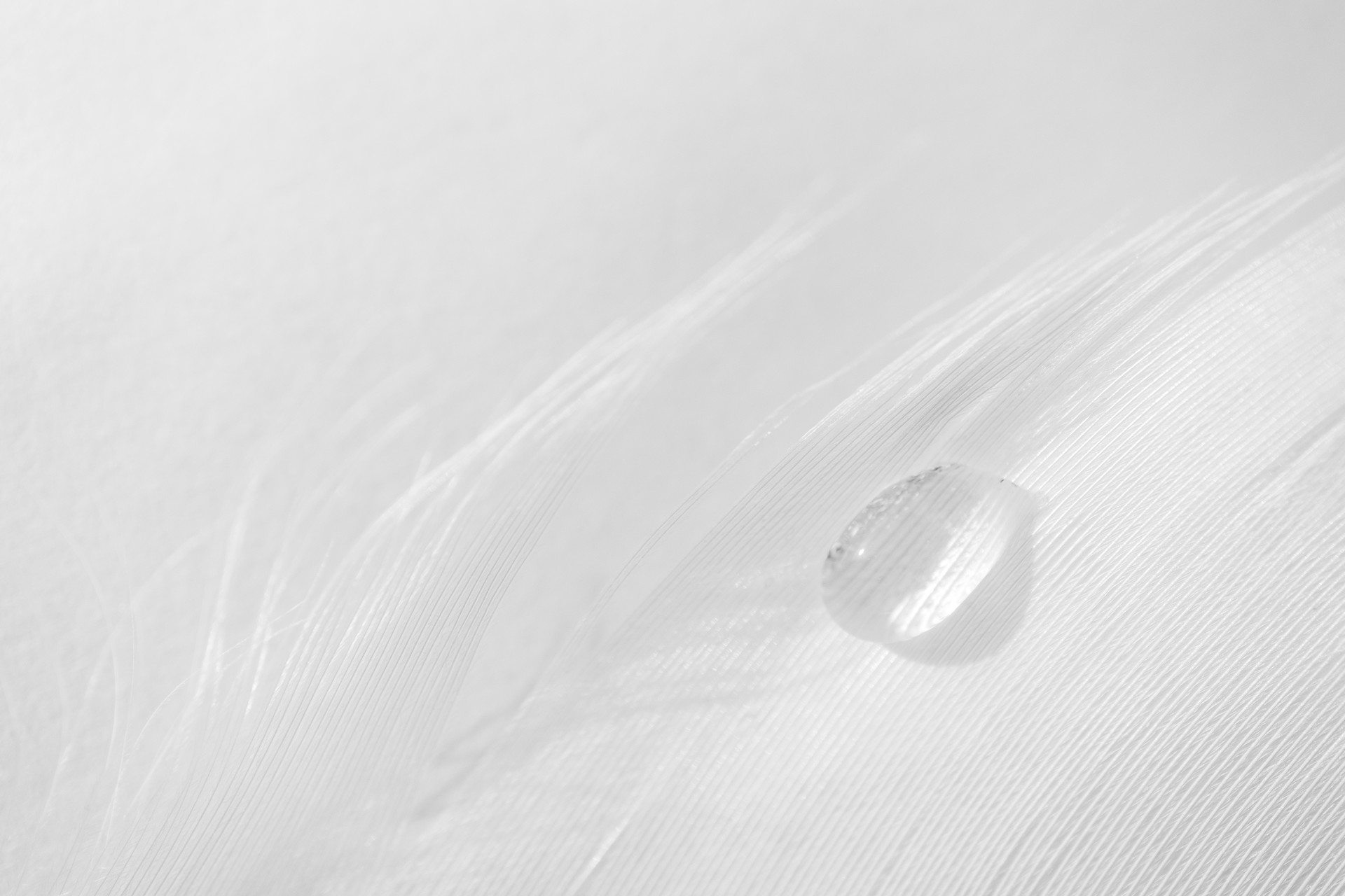 mobile background