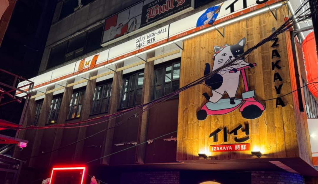 홍대 시선