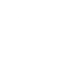 VION