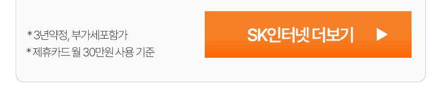SK인터넷 더보기