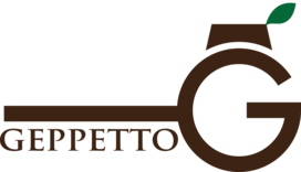 GEPPETTO