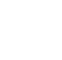 VION