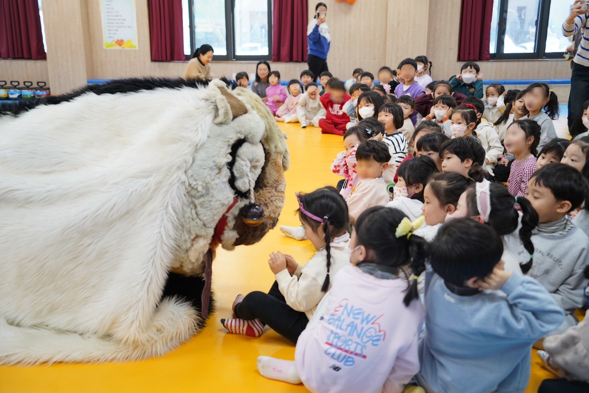 전주 푸른샘 유치원 강당에서 아이들이 합굿마을의 강아지탈 캐릭터 '해피'와 가까이서 교감하고 있는 모습. 복실복실한 흰색 털의 해피가 아이들을 향해 고개를 내밀고 있으며, 앞에 앉은 아이들은 호기심 가득한 표정으로 해피를 바라보거나 조심스럽게 손을 뻗으려 하고 있다