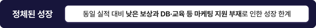 정체된 성장: 동일 실적 대비 낮은 보상과 DB, 교육 등 마케팅 지원 부재로 인한 성장 한계