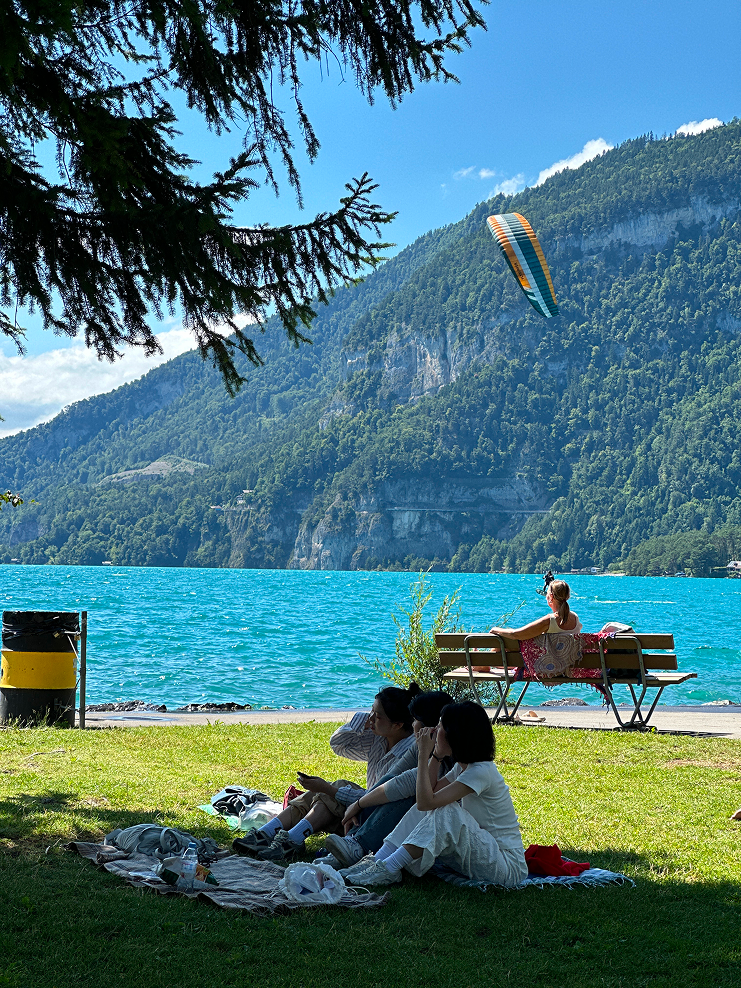 프로그램 이미지