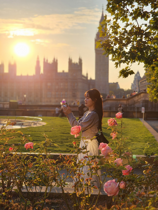 프로그램 이미지