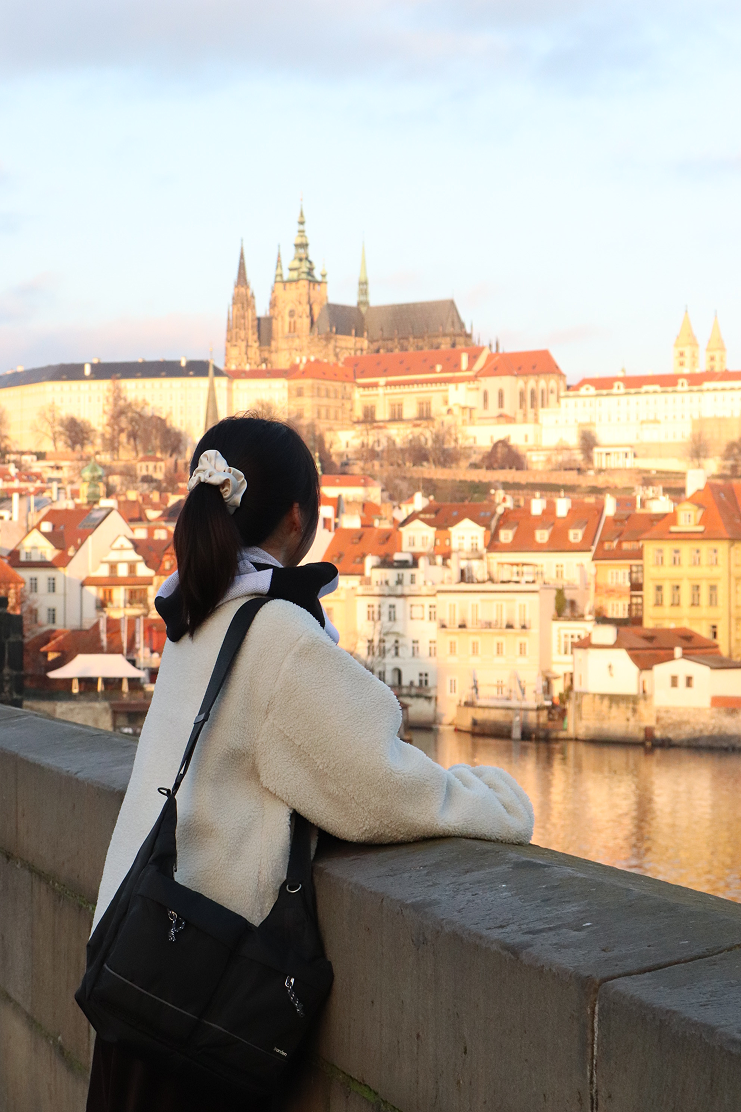 프로그램 이미지