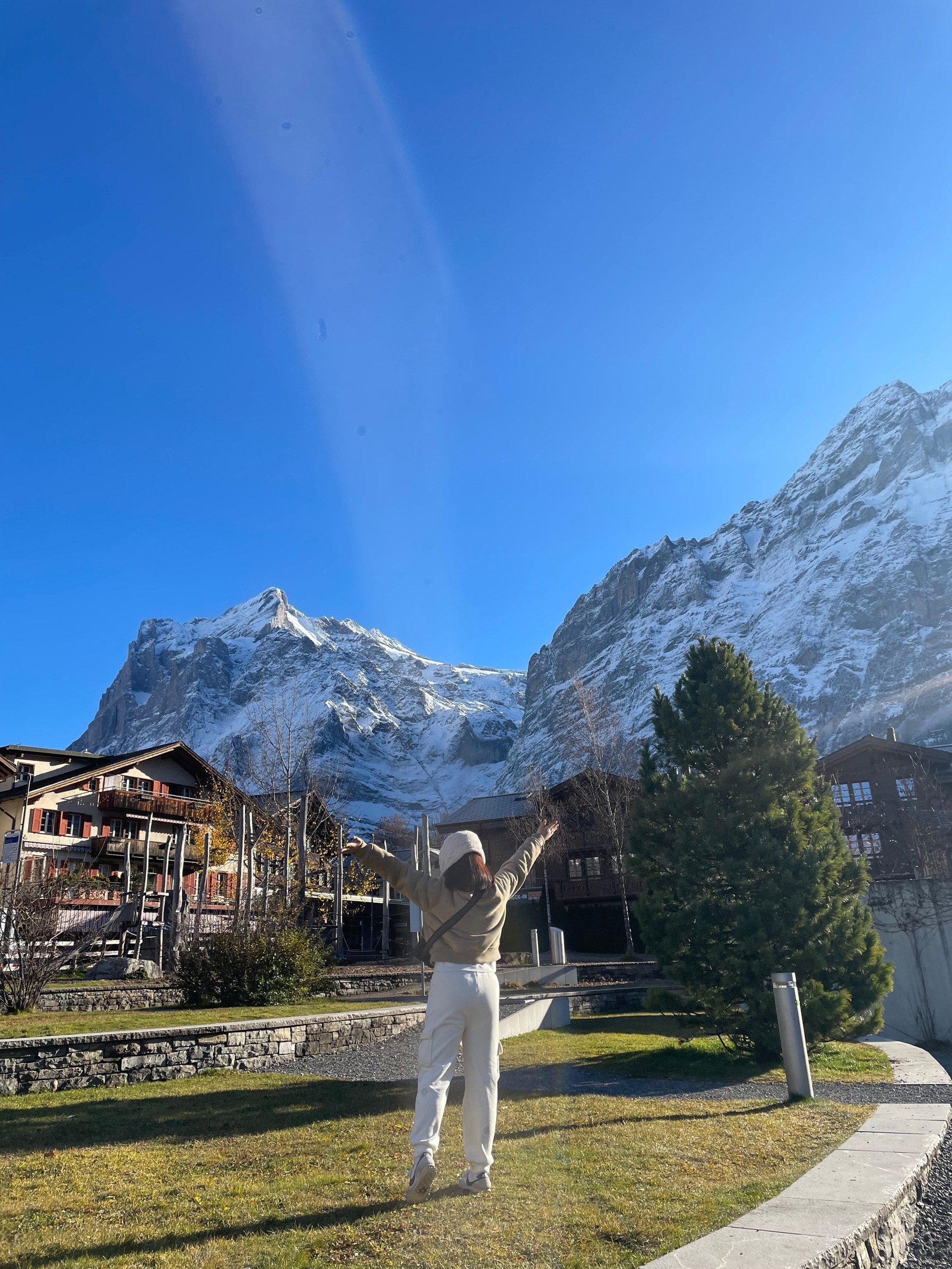 프로그램 이미지