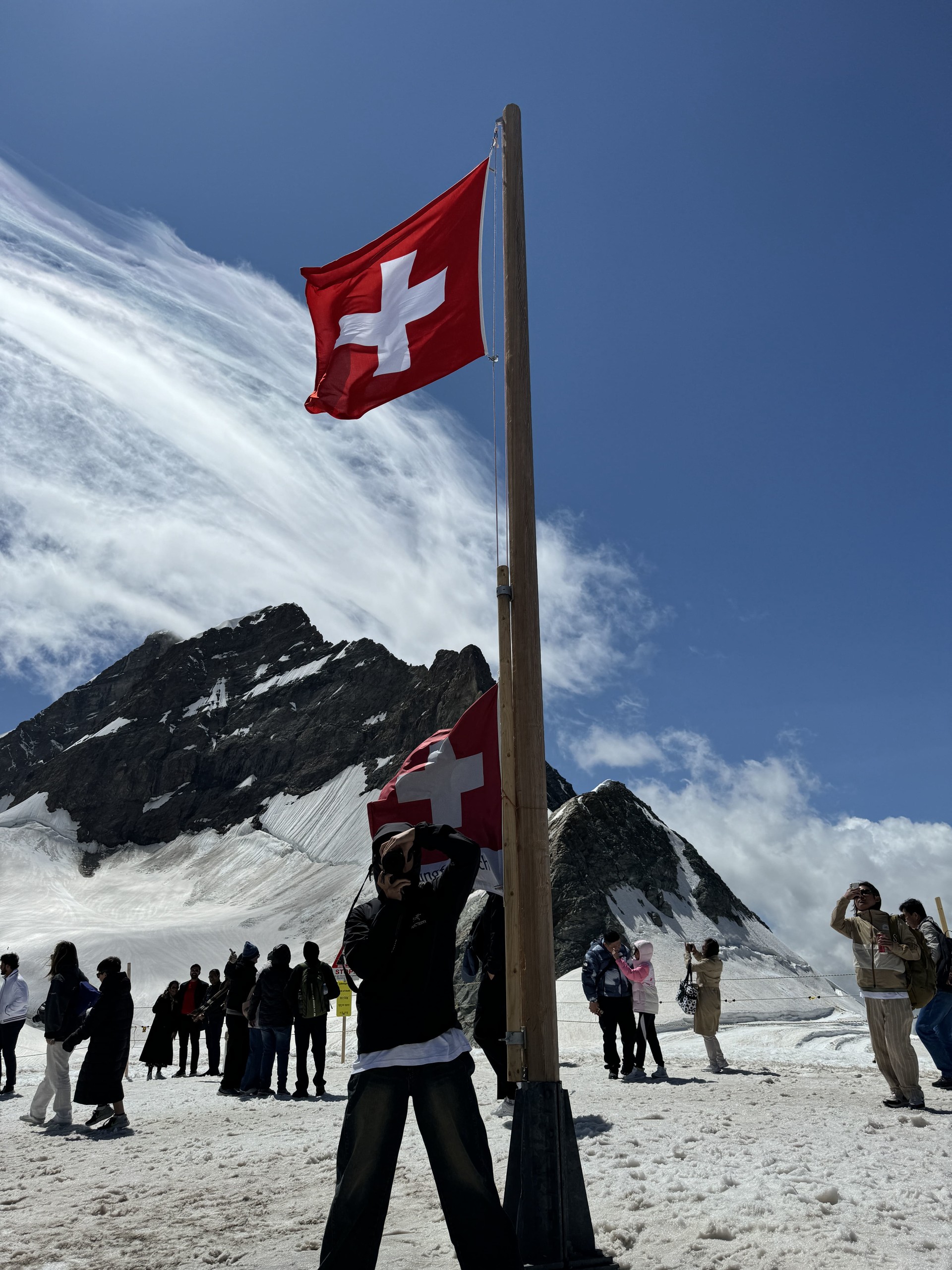 프로그램 이미지