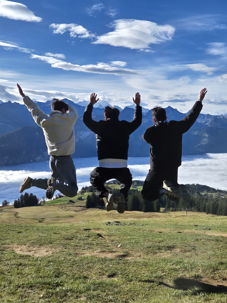 프로그램 이미지