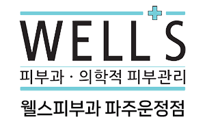 웰스피부과 파주운정점