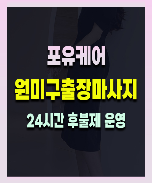 원미구출장마사지