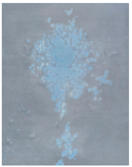 조한비, 빙하, 장지에 아크릴 채색, 116.8x92cm,2025