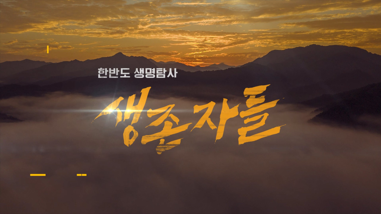 KBS 다큐인사이트 ' 콘크리트 사파리' Title