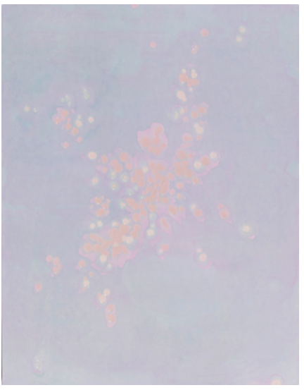 조한비, 꽃샘추위, 장지에 아크릴 채색, 116.8x91cm, 2025