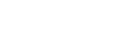 THE WEIGHT COMPANY