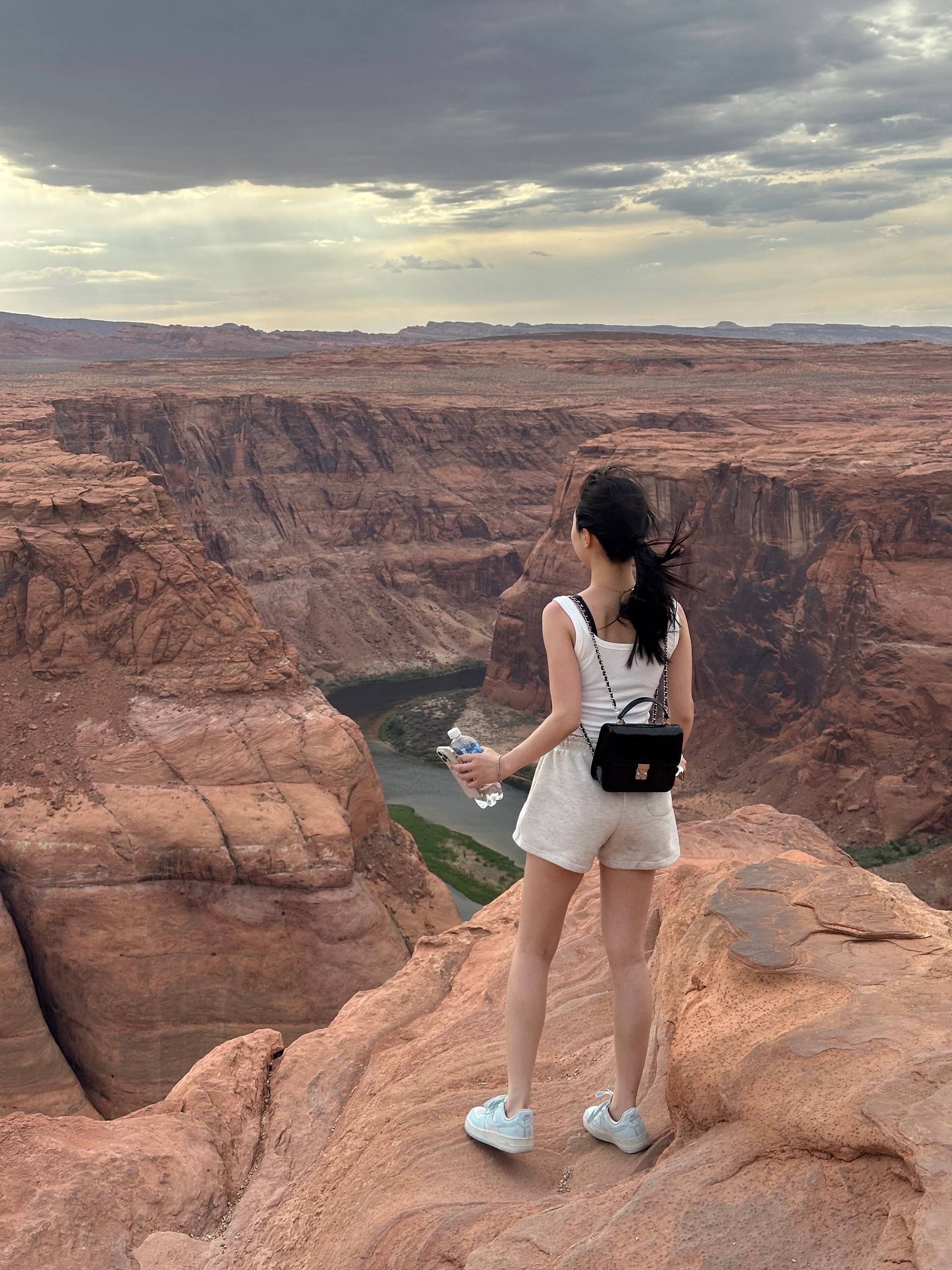 프로그램 이미지