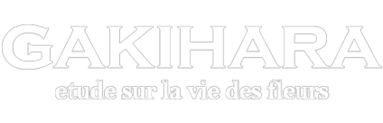 GAKIHARA 가키하라