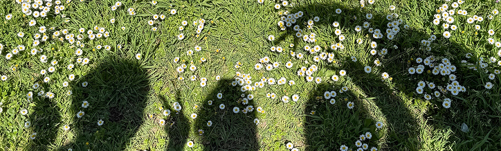 라이커프라이데이 2