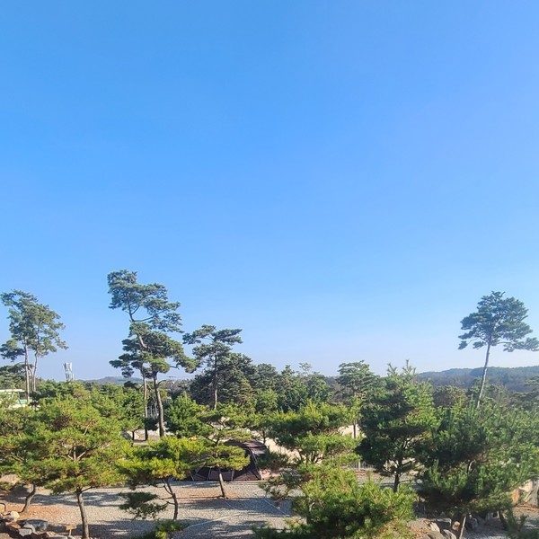 예약 상품 이미지