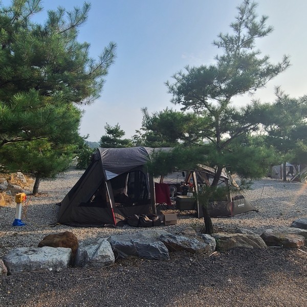 예약 상품 이미지