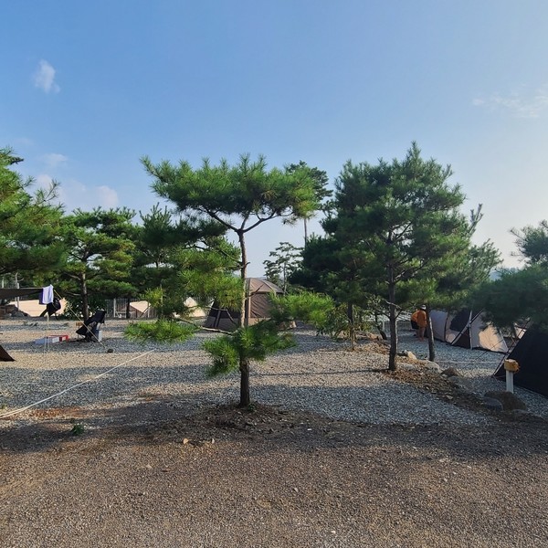 예약 상품 이미지