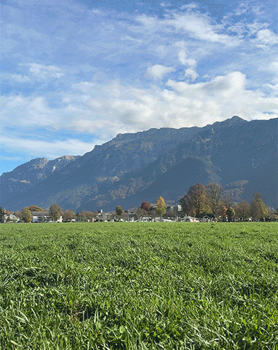 추천 프로그램 이미지