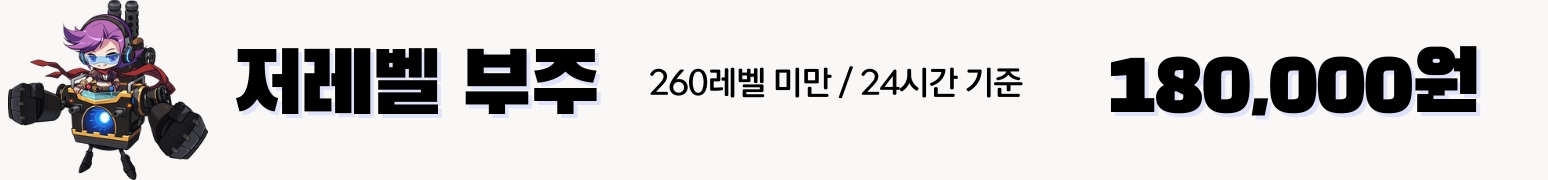 메이플부주 가격표 :24시간당 175,000원