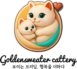 골든스웨터 캐터리