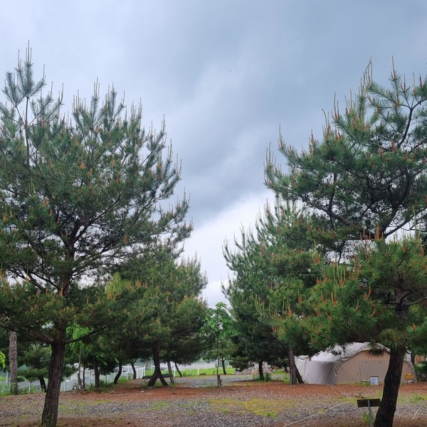 예약 상품 이미지