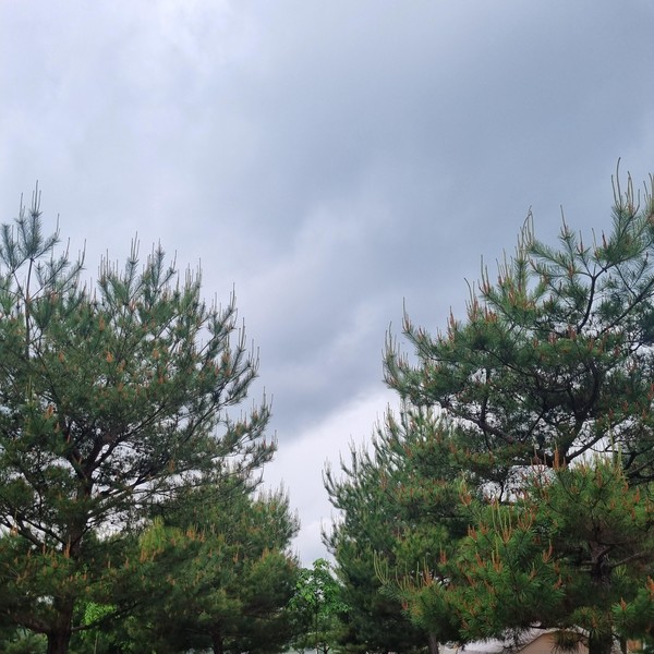 예약 상품 이미지