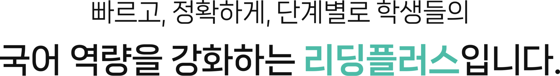 국어 역량을 강화하는 리딩플러스