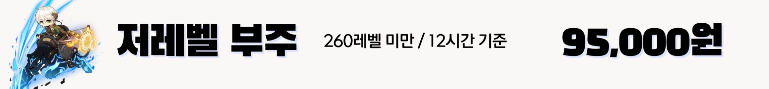 메이플부주 가격표 : 12시간당 90000원