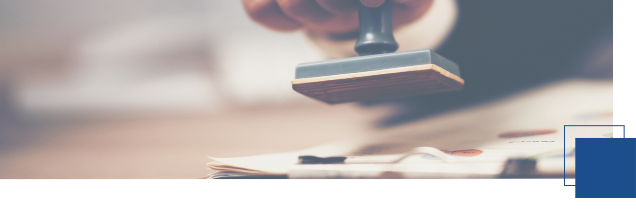 의료기관이중개설