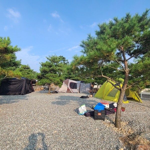 예약 상품 이미지