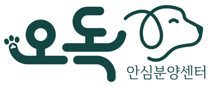 강아지분양,고양이분양 오독안심분양센터/위탁센터,인천,광주,대구,시흥